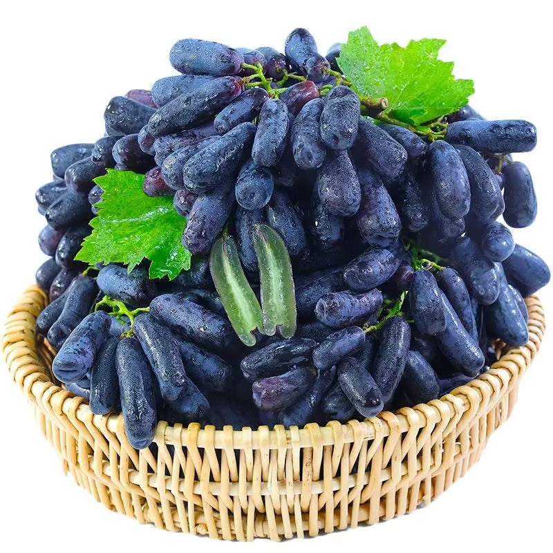 Sweet Sapphire Grape Seeds 🍇