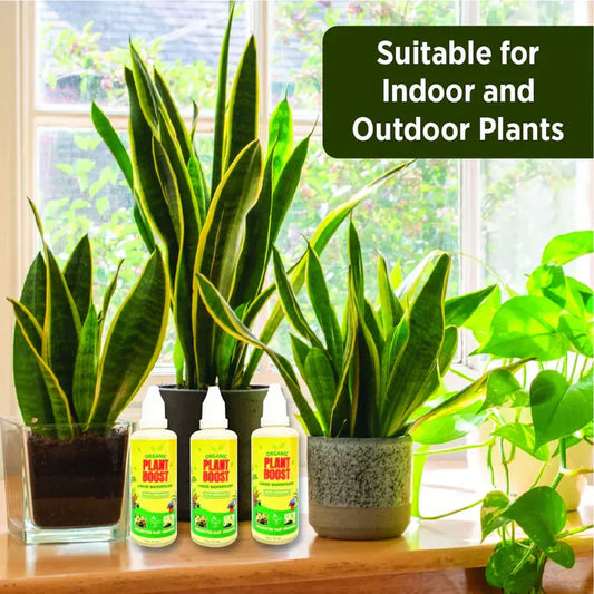Organic Plant Boost Liquid Bio fertilizer (Buy 1 Get 3 Free)🪴