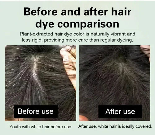 Japanese Long Lasting Natural Hair Dye Shampoo (Buy 2 Get 2 Free)🍶