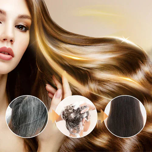 Japanese Long Lasting Natural Hair Dye Shampoo (Buy 2 Get 2 Free)🍶